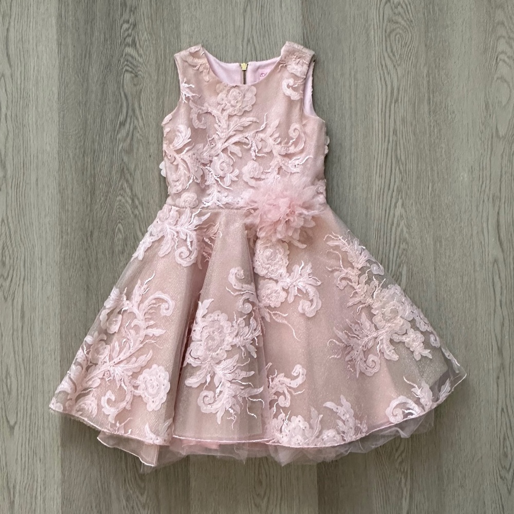 Zoe Ltd. Girls Formal Pink Dress LIKE NEW, WORN ONE TIME Size 8, Valentine's Day - Picture 9 of 16